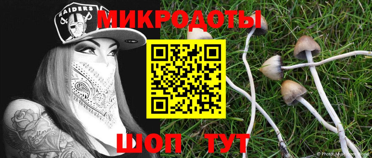 Галлюциногенные грибы Cubensis  Галлюциногенные грибы мухоморы  Павлово  Вход с VPN 